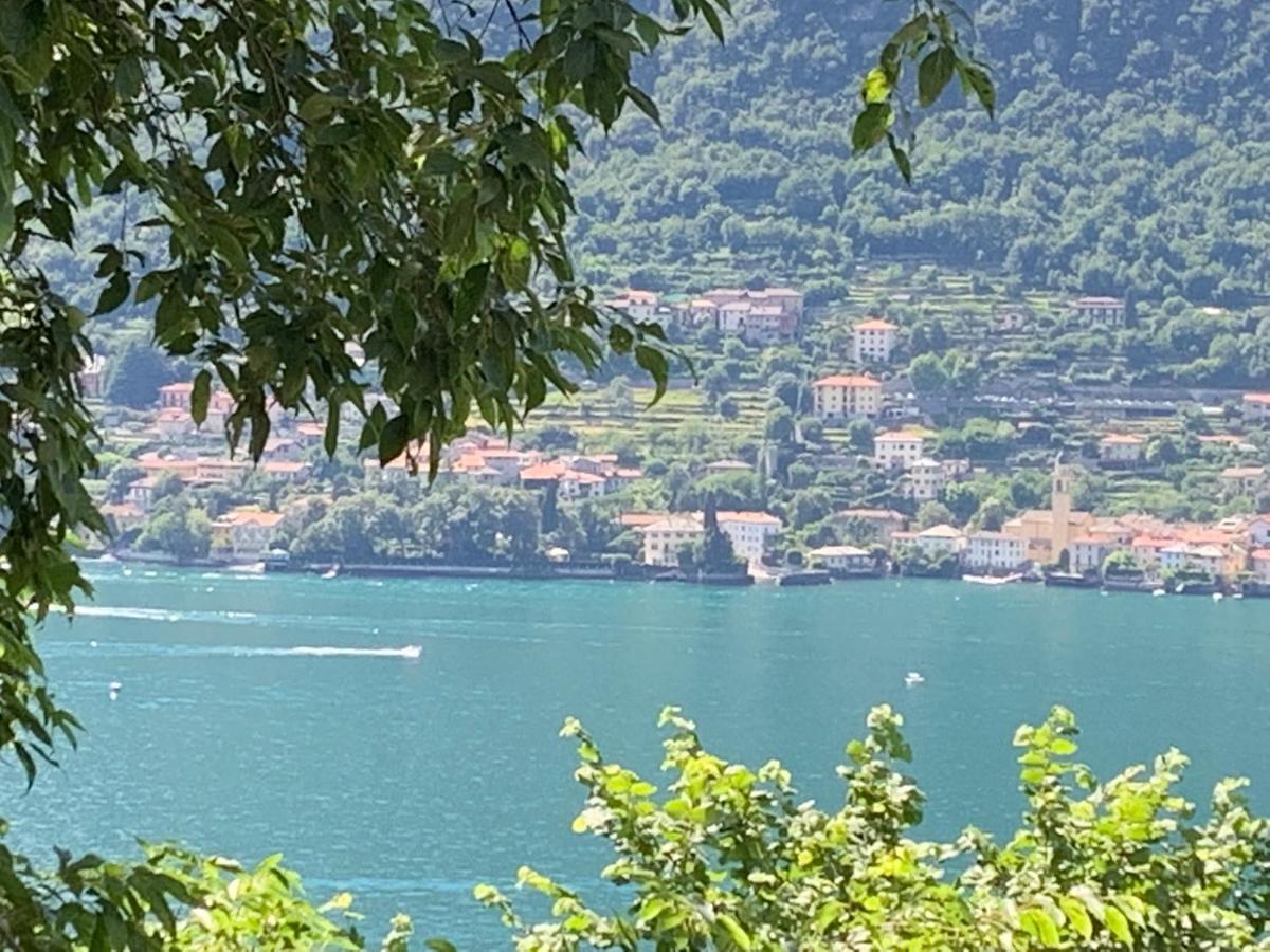 Apartment Casa Dono Il Lago Pognana Lario Εξωτερικό φωτογραφία