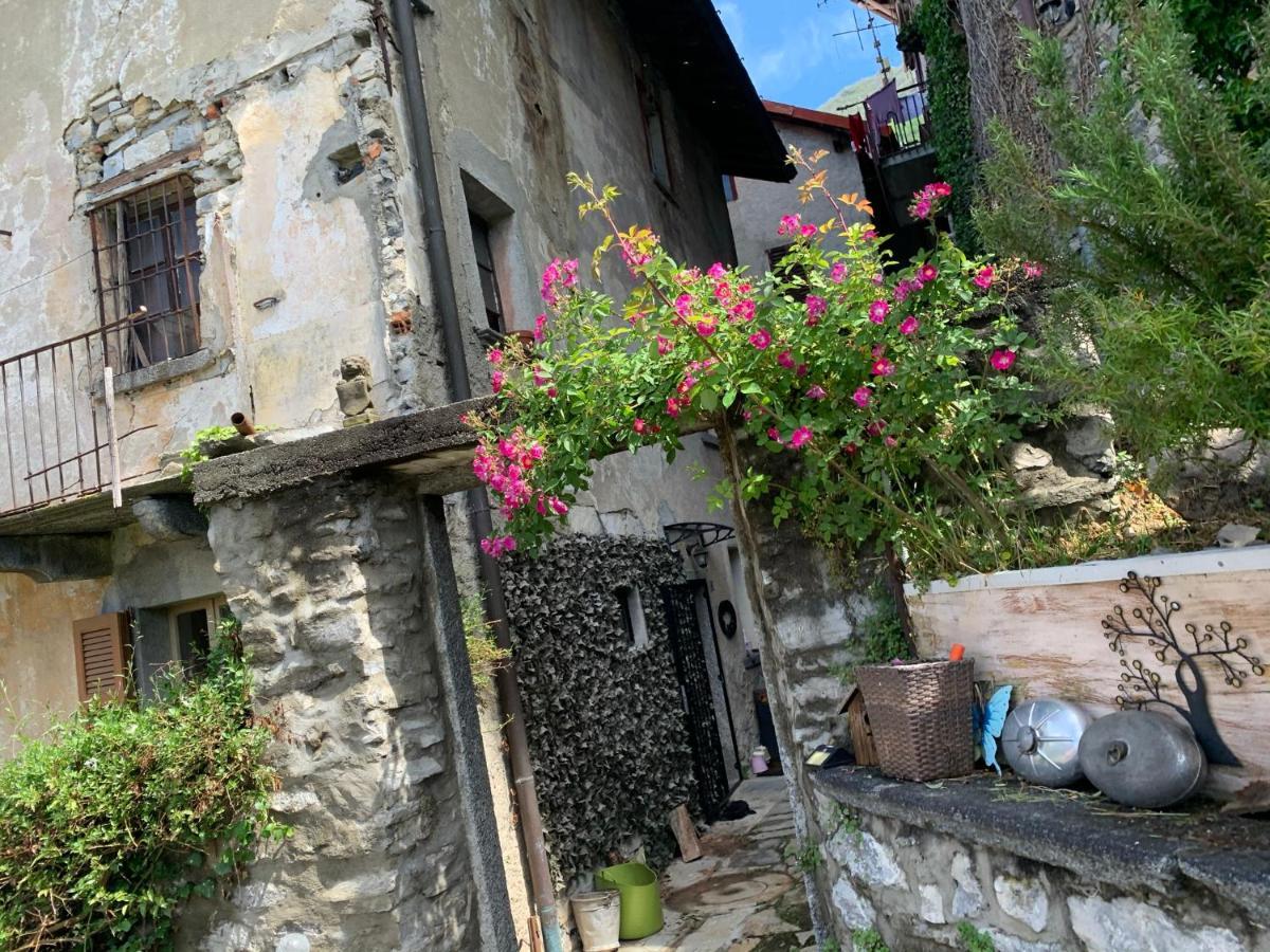 Apartment Casa Dono Il Lago Pognana Lario Εξωτερικό φωτογραφία
